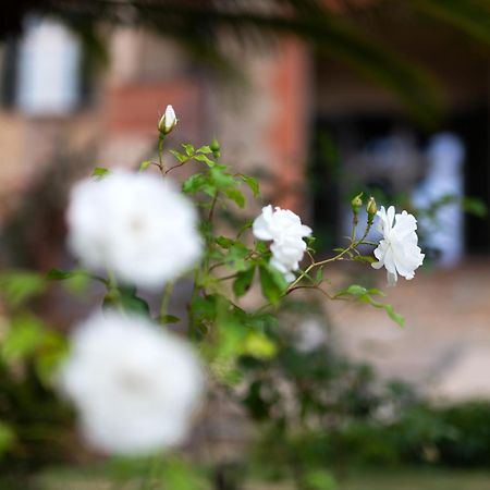 Villa Rappis Imperia Esterno foto