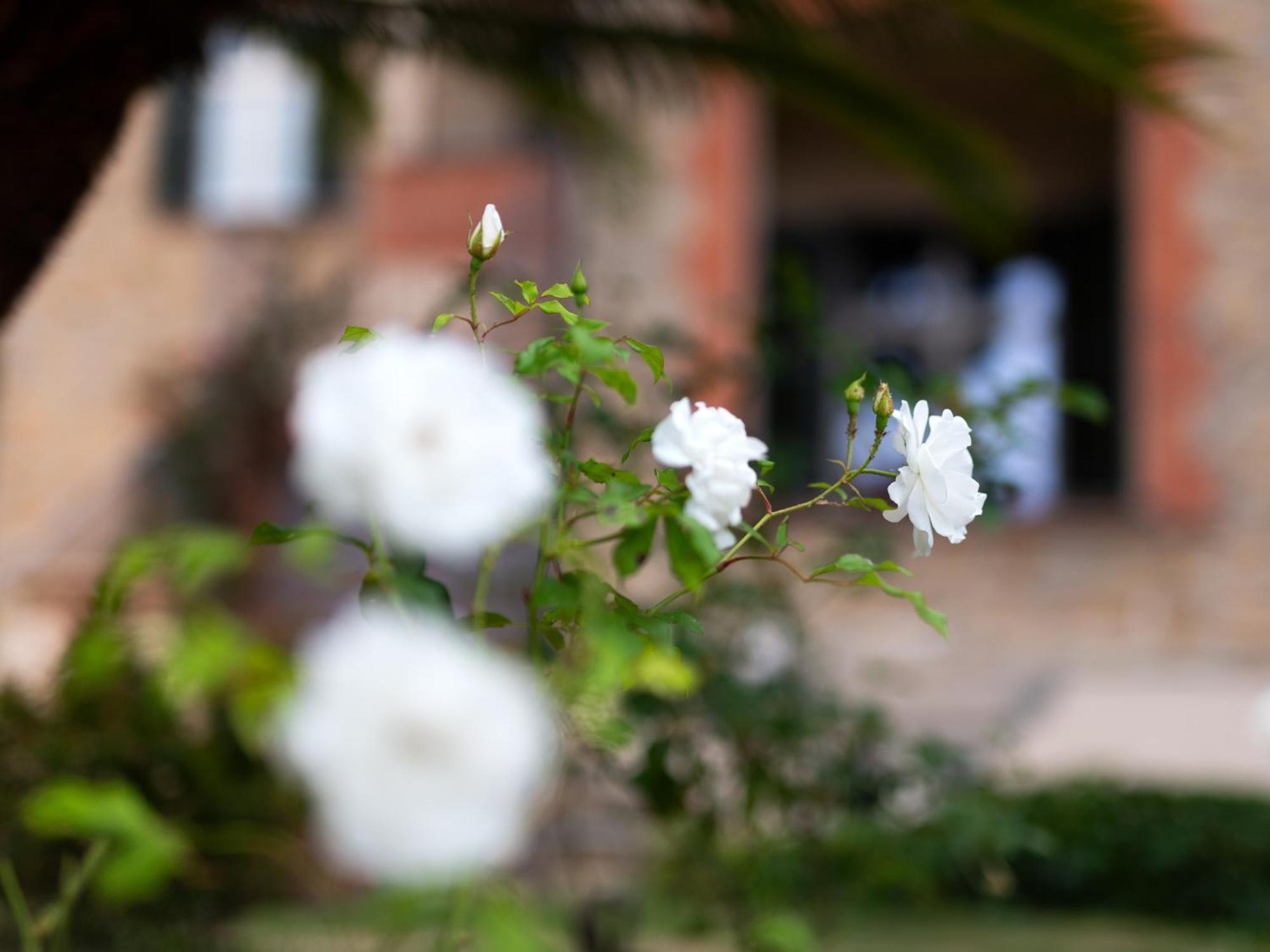 Villa Rappis Imperia Esterno foto