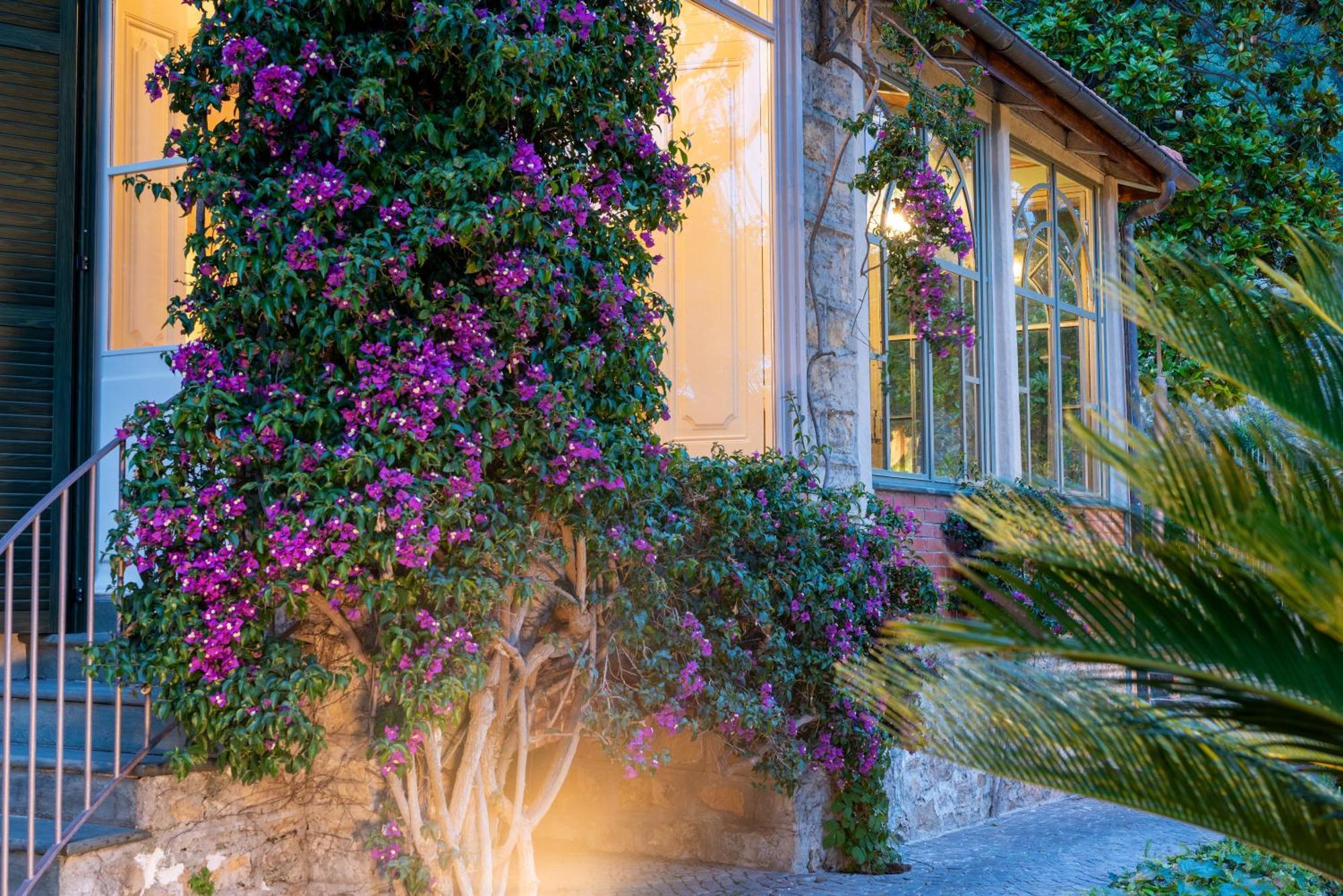 Villa Rappis Imperia Esterno foto
