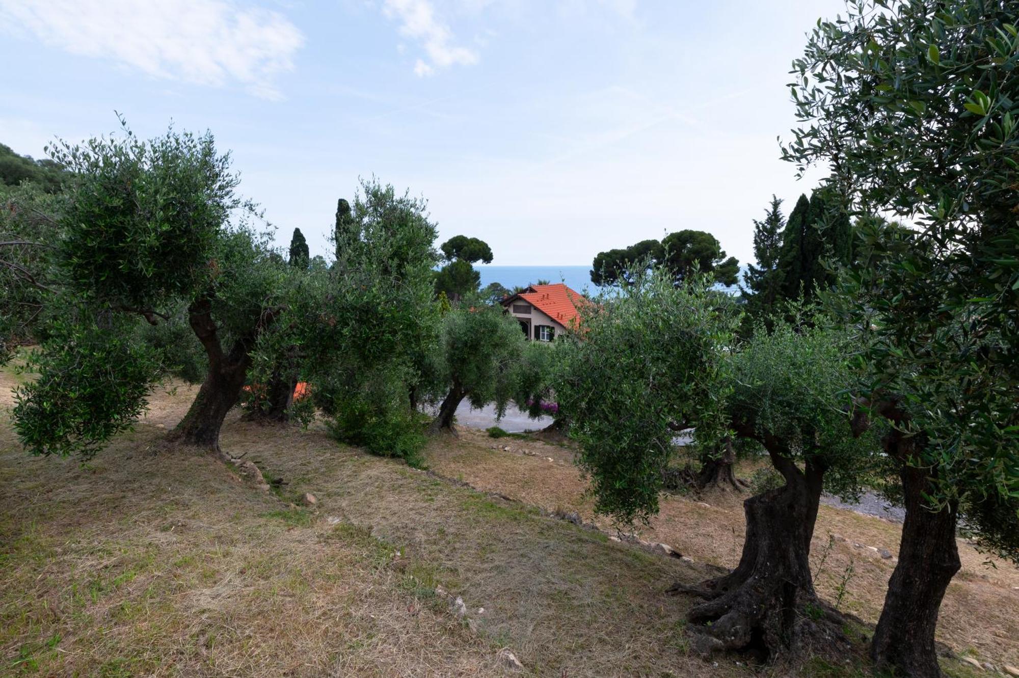 Villa Rappis Imperia Esterno foto